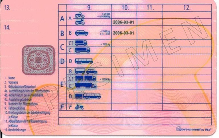 Austrian drivers license back